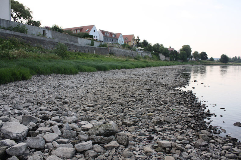 Niedrigwasser Juli 2010 (64 cm) Foto: F. Philipp