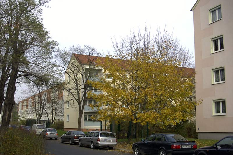Klingerstraße (2014)