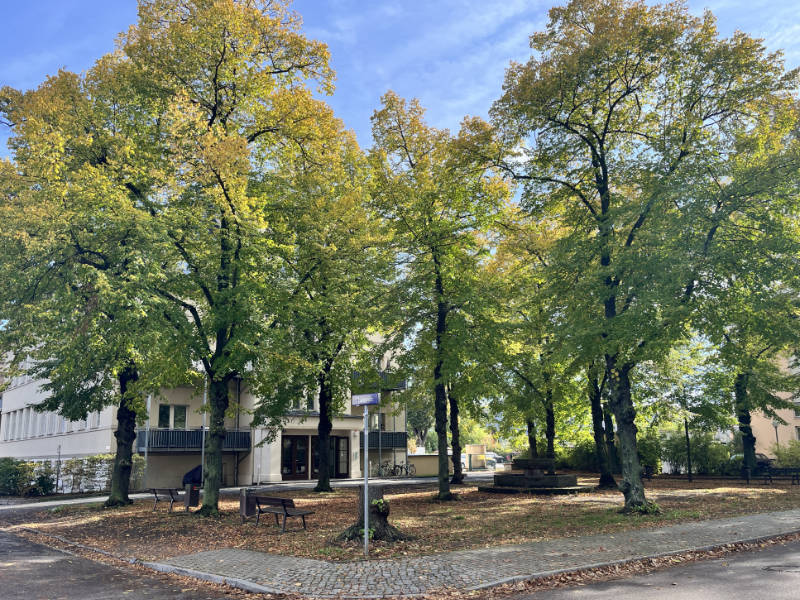 Mengsplatz (Foto: F. Philipp, 2023) Mengsplatz (Foto: F. Philipp, 2023)