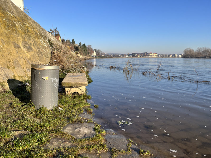 Hochwasser bei Altübigau (Foto: F. Philipp, 10.01.24)