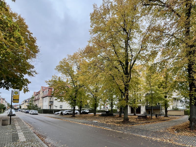 Mengsplatz im Herbst