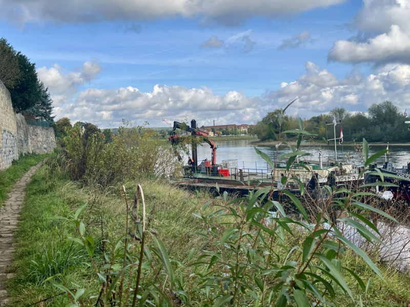 WSA beseitigt Uferbewuchs